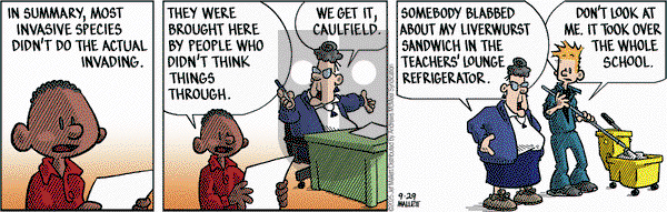 Frazz on Monday September 29, 2025 Comic Strip