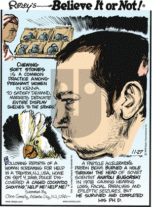 Ripley's Believe It or Not on Thursday November 27, 2008 Comic Strip