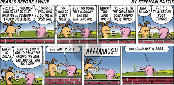 Pearls Before Swine on Sunday July 5, 2015 Comic Strip