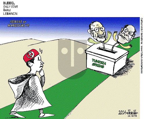 ViewsAfrica on Thursday November 27, 2014 Comic Strip