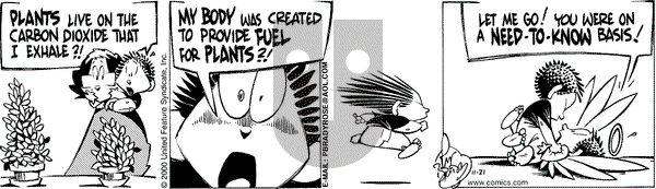 Rose is Rose - Tuesday November 21, 2000 Comic Strip