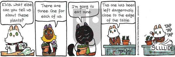 Breaking Cat News on Wednesday August 15, 2018 Comic Strip