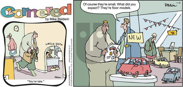 Cornered on Sunday November 8, 2009 Comic Strip