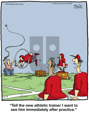 In the Bleachers on Tuesday November 7, 2006 Comic Strip
