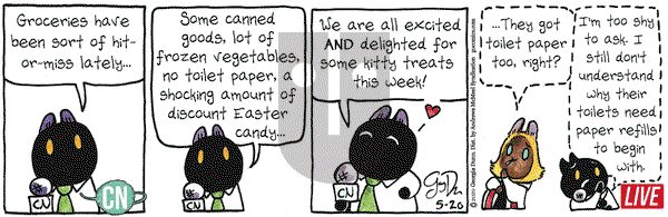 Breaking Cat News on Wednesday May 20, 2020 Comic Strip