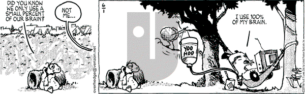 Over the Hedge on Wednesday June 1, 2011 Comic Strip