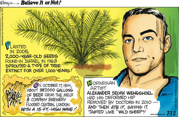 Ripley's Believe It or Not on Sunday July 12, 2015 Comic Strip
