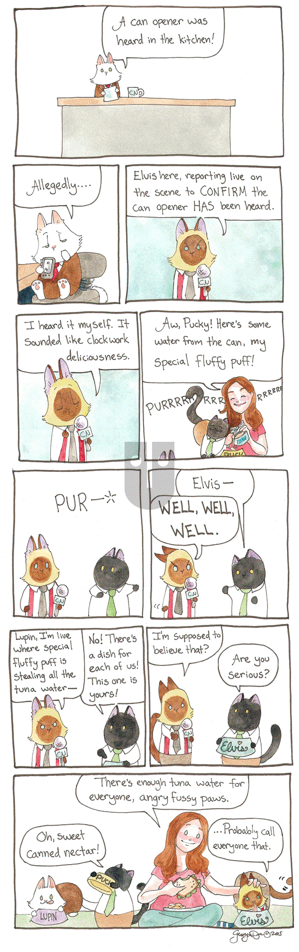 Breaking Cat News on Thursday December 29, 2016 Comic Strip
