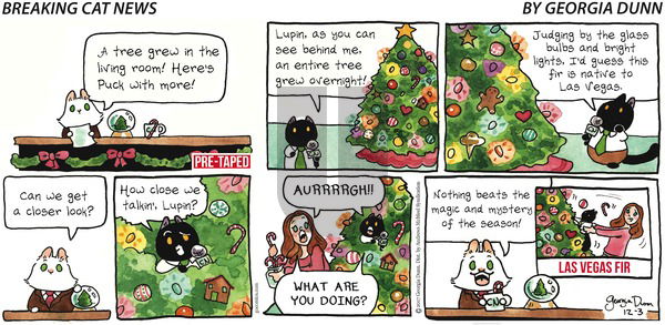 Breaking Cat News on Sunday December 3, 2017 Comic Strip