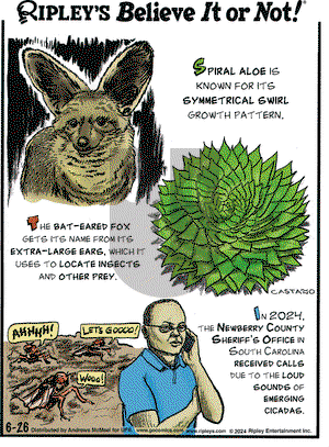 Ripley's Believe It or Not - Wednesday June 26, 2024 Comic Strip