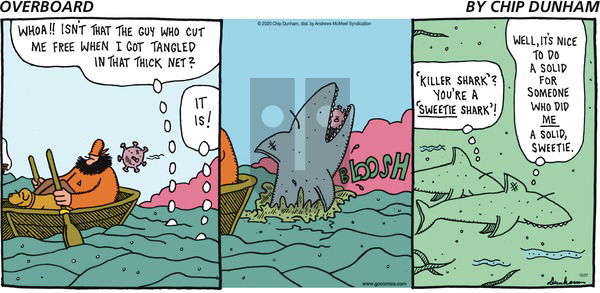 Overboard on Sunday December 27, 2020 Comic Strip
