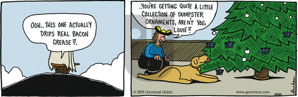 Overboard on Thursday December 22, 2011 Comic Strip