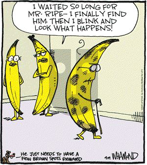 Reality Check on Saturday September 19, 2020 Comic Strip