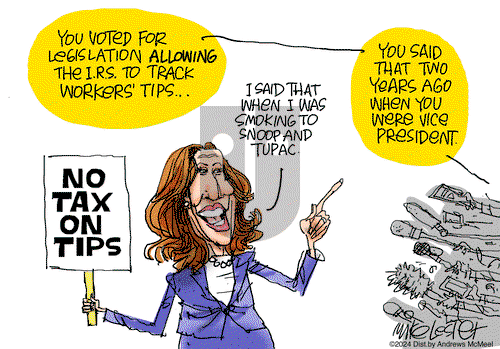 Mike Lester on Tuesday August 13, 2024 Comic Strip
