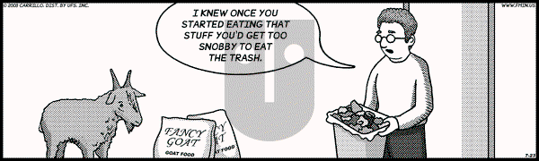 F Minus on Wednesday July 23, 2008 Comic Strip