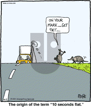 In the Bleachers - Saturday June 2, 2001 Comic Strip