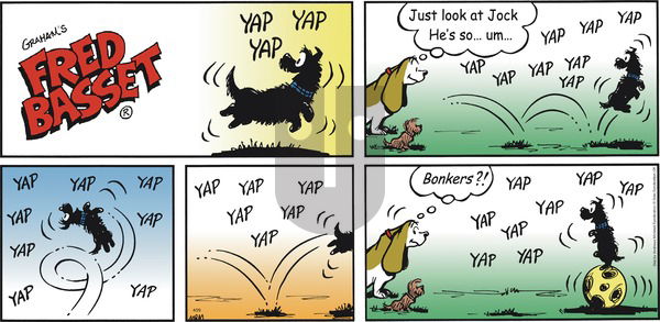 Fred Basset on Sunday April 29, 2018 Comic Strip