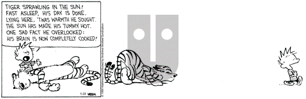 Calvin and Hobbes on Friday January 31, 2025 Comic Strip