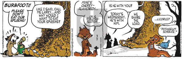 Over the Hedge on Wednesday March 7, 2007 Comic Strip