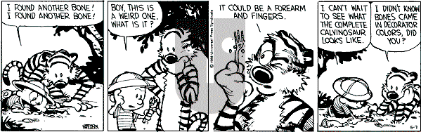 Calvin and Hobbes - Saturday May 7, 1988 Comic Strip