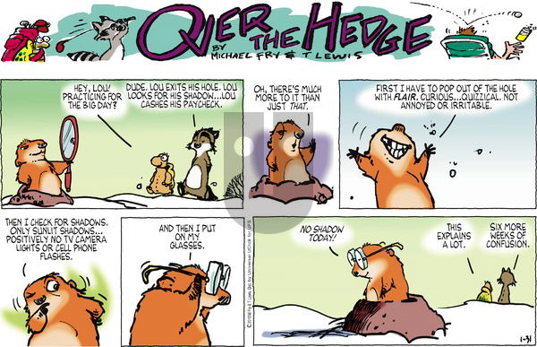 Over the Hedge on Sunday January 31, 2016 Comic Strip
