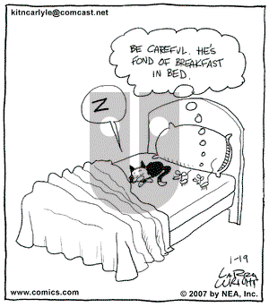 Kit 'N' Carlyle on Friday January 19, 2007 Comic Strip