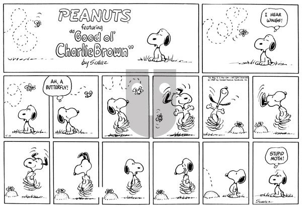 Peanuts on Sunday May 11, 1969 Comic Strip