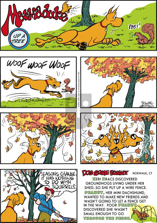 Marmaduke on Sunday November 20, 2016 Comic Strip