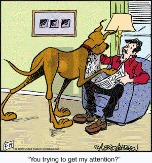 Marmaduke - Tuesday May 19, 2009 Comic Strip