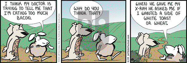 DeFlocked on Monday June 29, 2020 Comic Strip