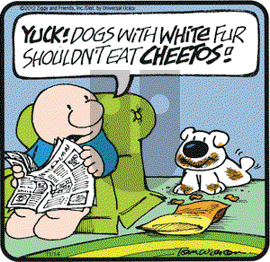 Ziggy on Wednesday November 14, 2012 Comic Strip
