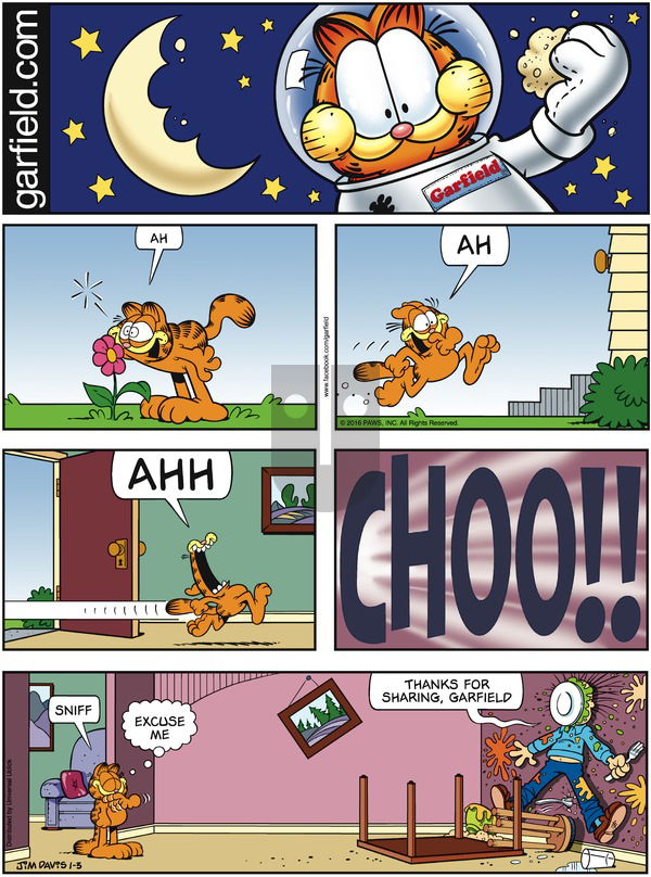 Garfield on Sunday January 3, 2016 Comic Strip