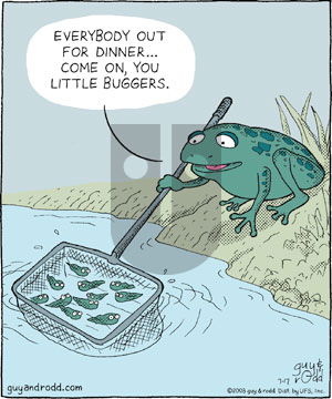Brevity - Thursday July 17, 2008 Comic Strip