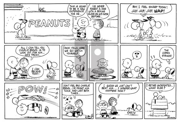 Peanuts on Sunday November 13, 1960 Comic Strip