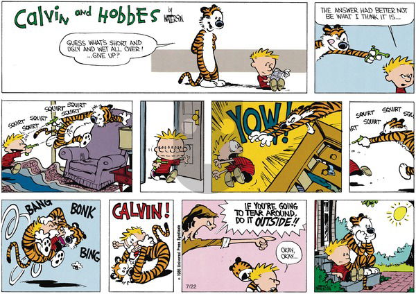 Calvin and Hobbes on Sunday September 8, 1991 Comic Strip
