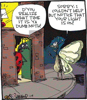 Reality Check on Thursday January 9, 2014 Comic Strip
