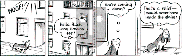 Fred Basset on Friday April 29, 2005 Comic Strip