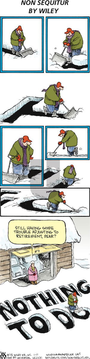 Non Sequitur on Sunday January 11, 2015 Comic Strip