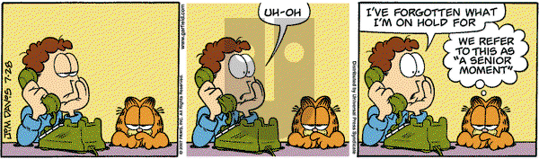 Garfield on Saturday July 28, 2007 Comic Strip