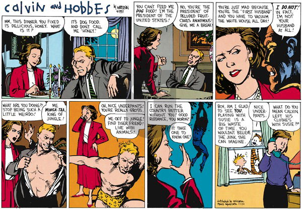 Calvin and Hobbes on Sunday January 31, 1993 Comic Strip