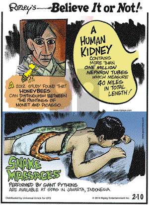 Ripley's Believe It or Not on Monday February 10, 2014 Comic Strip