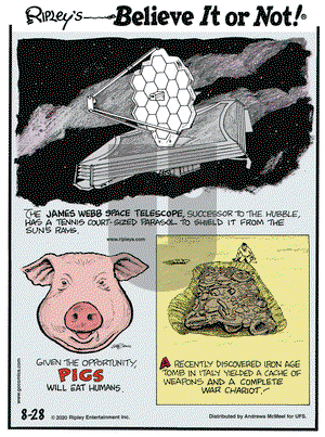 Ripley's Believe It or Not on Friday August 28, 2020 Comic Strip