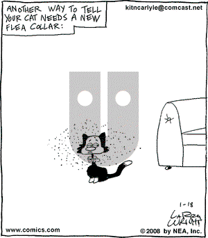 Kit 'N' Carlyle on Friday January 18, 2008 Comic Strip