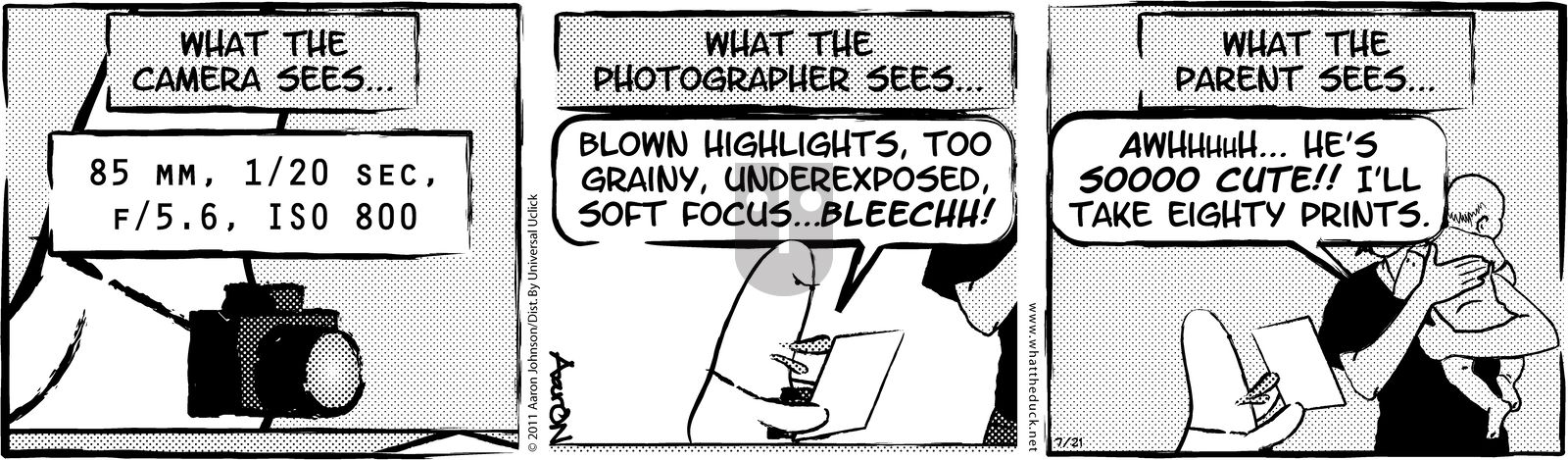 W.T. Duck - Wednesday January 3, 2024 Comic Strip