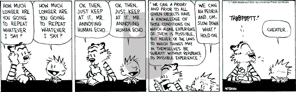 Calvin and Hobbes - Saturday February 5, 1994 Comic Strip
