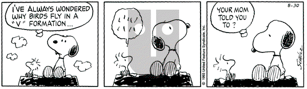 Peanuts on Monday August 30, 1993 Comic Strip