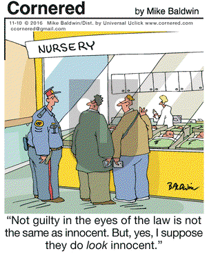 Cornered on Thursday November 10, 2016 Comic Strip