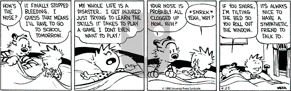 Calvin and Hobbes - Wednesday April 25, 1990 Comic Strip