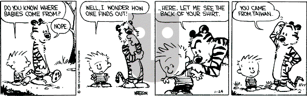 Calvin and Hobbes - Friday January 24, 1986 Comic Strip