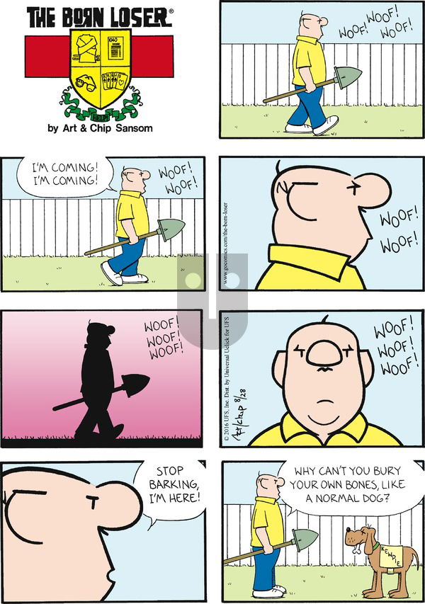 The Born Loser - Sunday August 28, 2016 Comic Strip